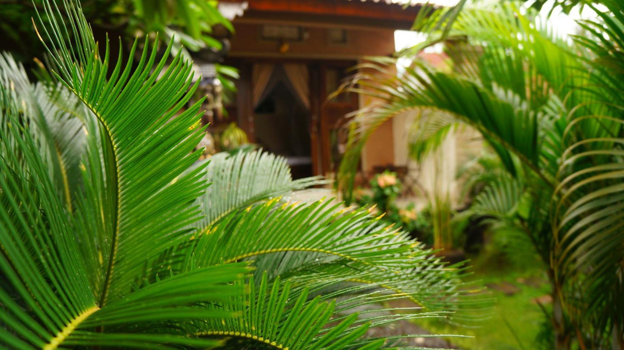 Rumahku Homestay Amed  Ngoại thất bức ảnh